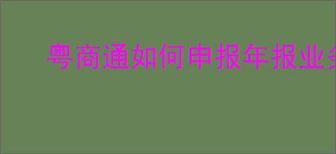 粤商通如何申报年报业务