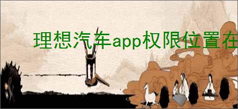 理想汽车app权限位置在哪