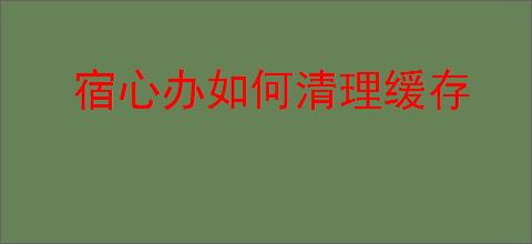 宿心办如何清理缓存