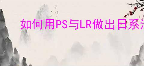 如何用PS与LR做出日系清新艺术照